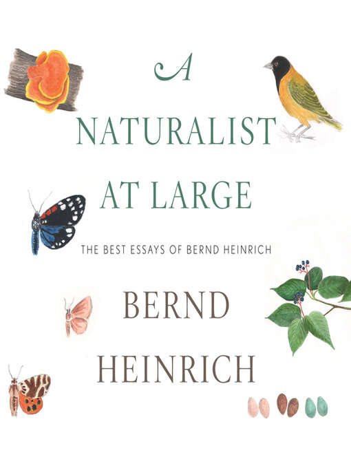 Title details for A Naturalist at Large by Bernd Heinrich - Available